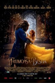 Beauty and the Beast (2017)
